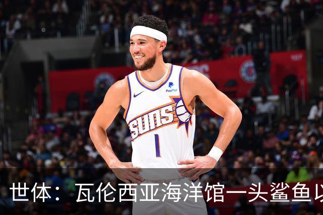 世体：瓦伦西亚海洋馆一头鲨鱼以费兰·托雷斯的名字命名
