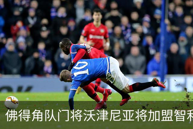 佛得角队门将沃津尼亚将加盟智利科洛科洛俱乐部
