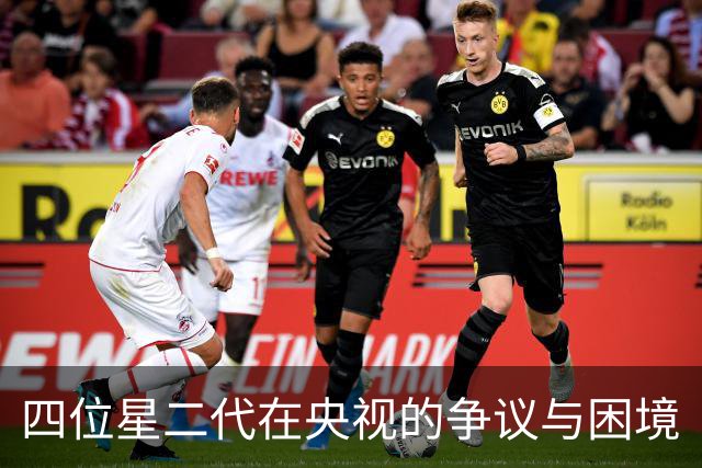 四位星二代在央视的争议与困境