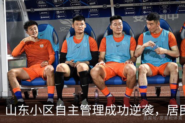 山东小区自主管理成功逆袭，居民齐心共建美好家园