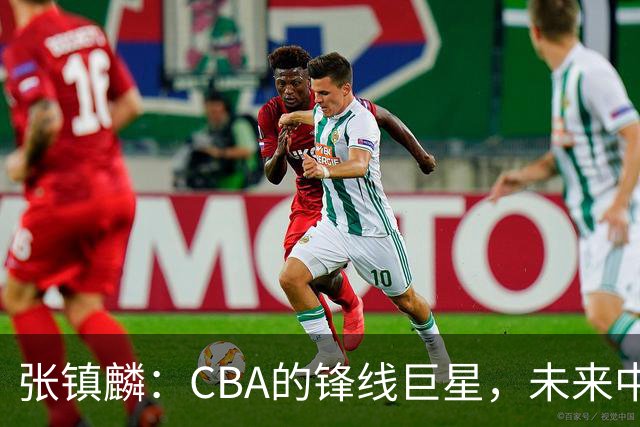 张镇麟：CBA的锋线巨星，未来中国男篮的希望！