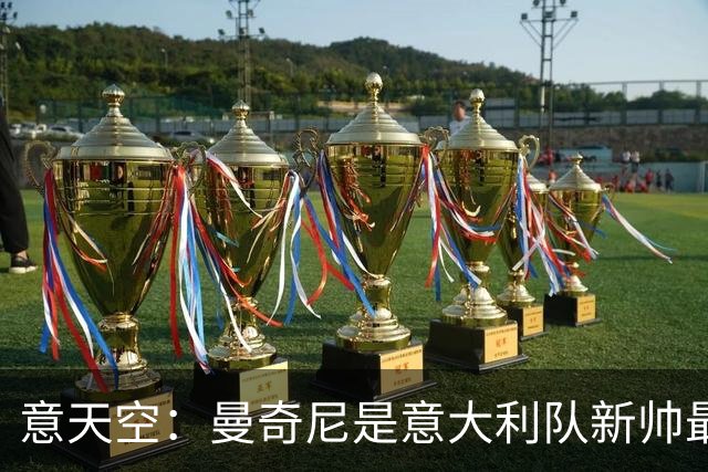 意天空：曼奇尼是意大利队新帅最大热门，拉涅利可能出任总监