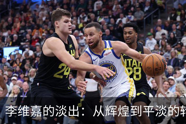 李维嘉的淡出：从辉煌到平淡的转变