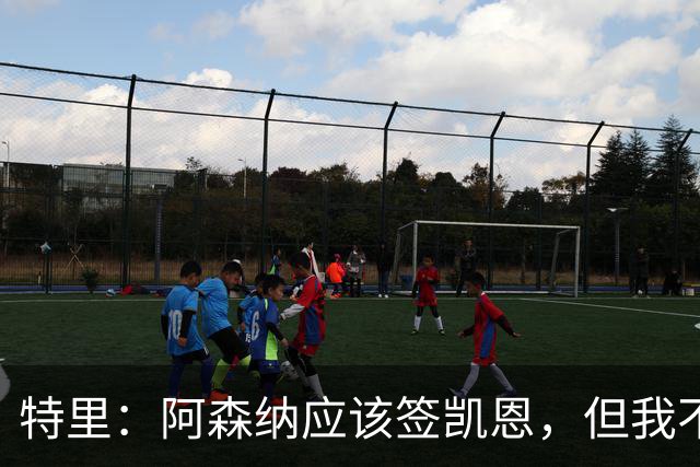 特里：阿森纳应该签凯恩，但我不确定有谁愿意去那这才是问题所在
