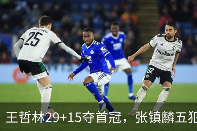 王哲林29+15夺首冠，张镇麟五犯离场，胡金秋空砍20分