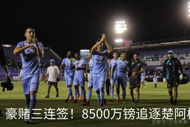 豪赌三连签！8500万镑追逐楚阿梅尼，曼联夏窗三套补强计划全线铺开