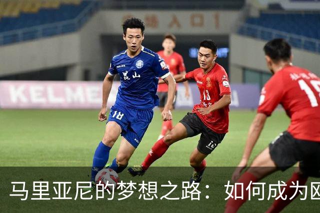 马里亚尼的梦想之路：如何成为欧协联决赛的主裁判！