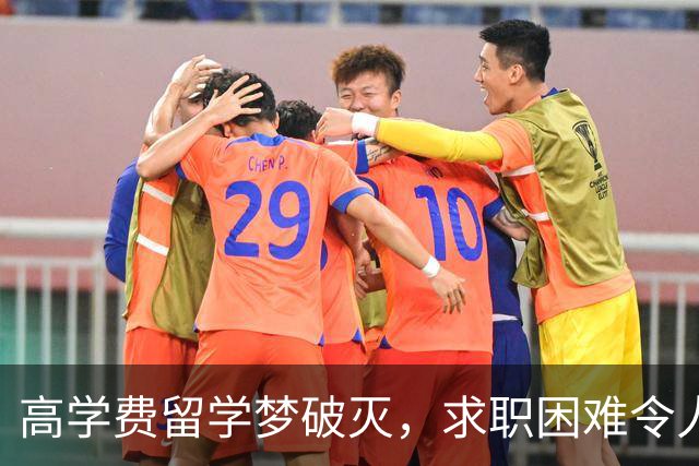 高学费留学梦破灭，求职困难令人心碎