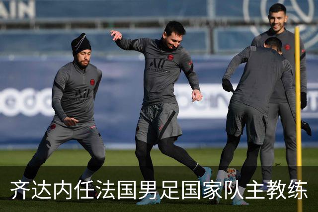 齐达内任法国男足国家队主教练