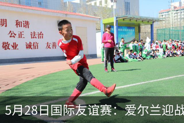 5月28日国际友谊赛：爱尔兰迎战卡塔尔