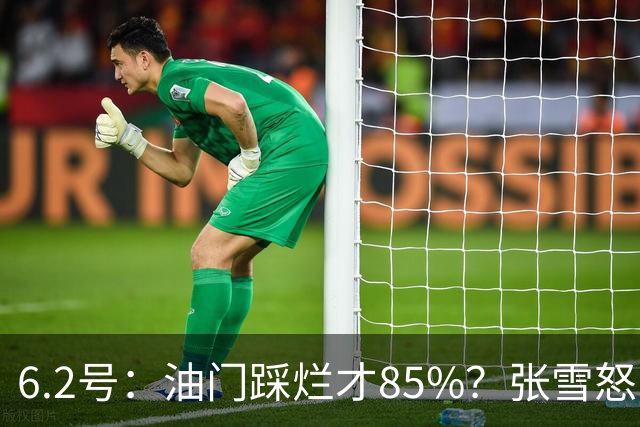 6.2号：油门踩烂才85%？张雪怒了：FIM的电子脚镣！